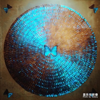 小七隨拍
