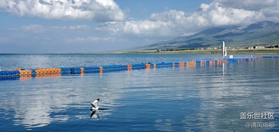 【色彩系列之白色】+白云醉