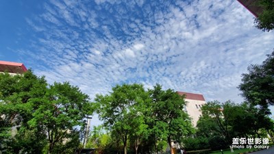 S10無懼強光