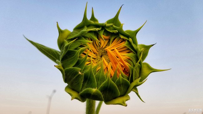 【每周精帖匯155】蓋樂世社區(qū)已經(jīng)4周歲啦！