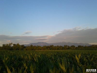 【向往的天空】+蔚州黃梅暮色