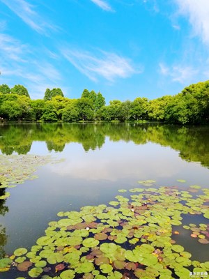 【向往的天空】+藍天白云