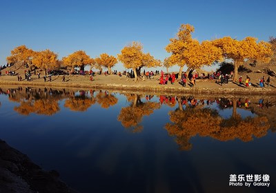 [向往的天空]--額濟納的藍天