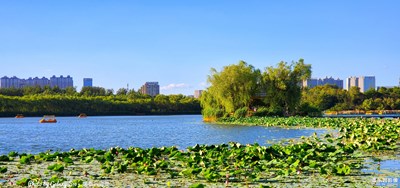 GalaxyS10+在美麗的夏日里