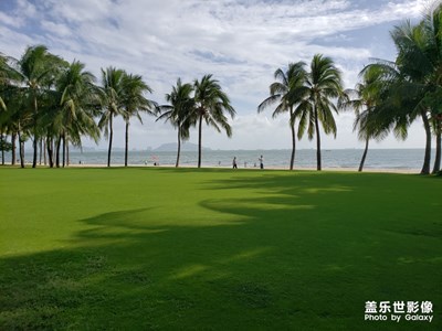 老照片