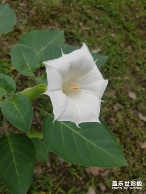 一個(gè)過(guò)程