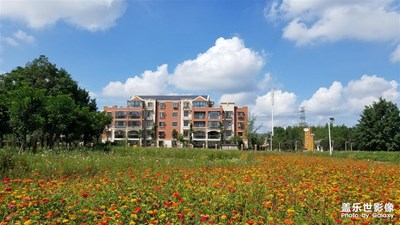 【向往的天空】+騎行白云村