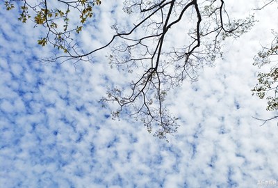 【向往的天空】+白云