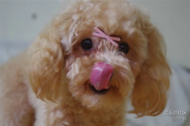 來組我家小泡飯的表情包。