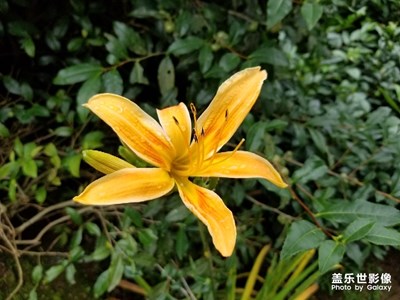 7月你好！