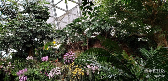 最有意思的線下活動+上海星部落上海辰山植物園一日游