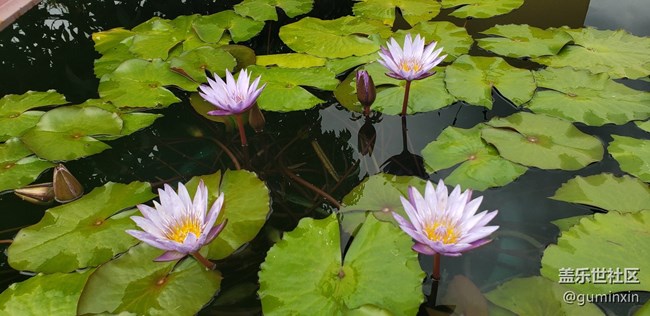 最有意思的線下活動+上海星部落上海辰山植物園一日游