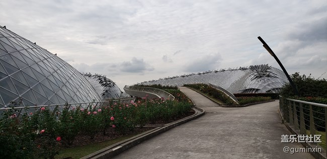 最有意思的線下活動+上海星部落上海辰山植物園一日游