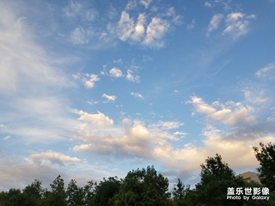 【盛夏光年】+夏日炎炎