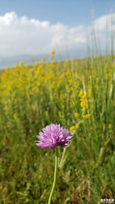 【盛夏光年】+旅行隨拍