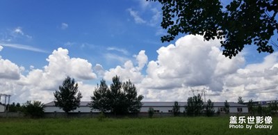 廠區(qū)美景