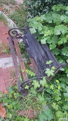 歲月？人為？