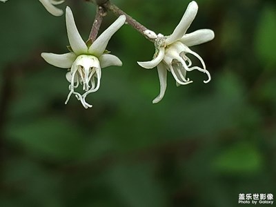 【盛夏光年】+夏天的色彩