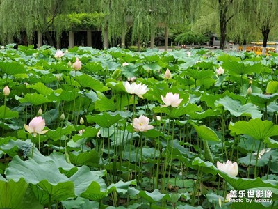 【盛夏光年】+炎熱的夏天