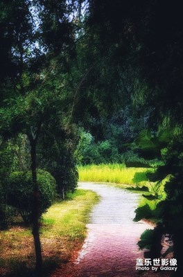 東東
