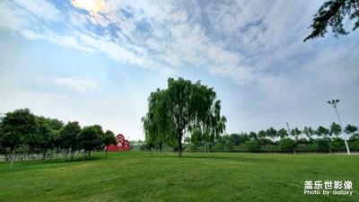美麗的草坪