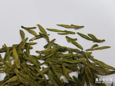 高山龍井茶，茶農(nóng)自產(chǎn)自銷！