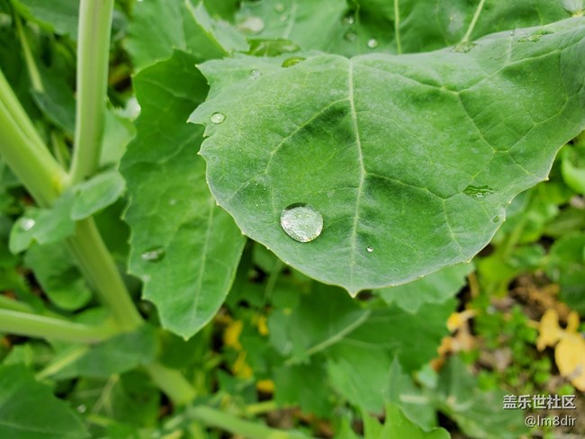 【社區(qū)4周年】+聊聊我與三星的那些事兒