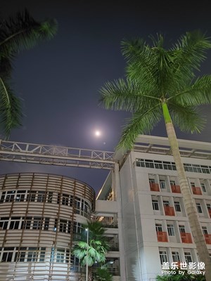 夏天晚上夜景