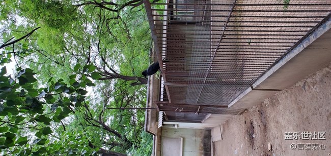 【Galaxy A80星粉體驗活動】A80圖賞