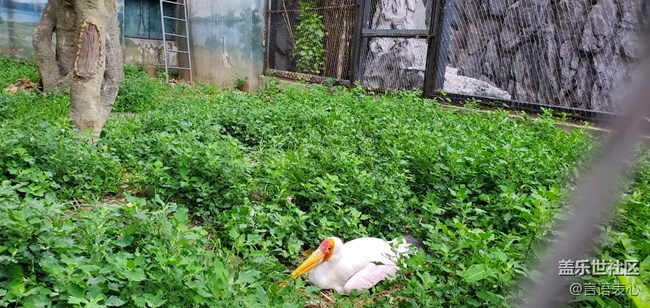 【Galaxy A80星粉體驗活動】A80圖賞