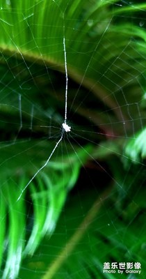 像手機屏幕裂了嗎？