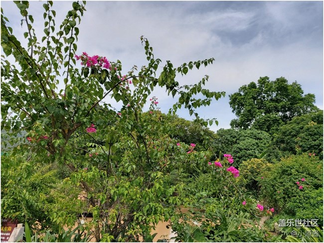 【Galaxy A80星粉體驗(yàn)活動(dòng)】升降翻轉(zhuǎn)三攝之A80快速體驗(yàn)