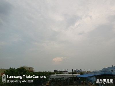 拍到了
