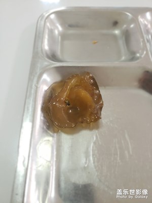 【家有萌寵】+純屬娛樂