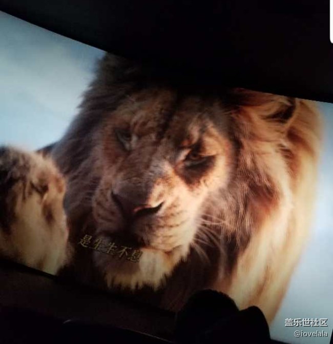 7.14吾悅國(guó)際廣場(chǎng)活動(dòng)！