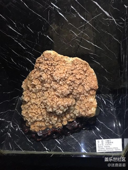 喜迎蓋樂世社區(qū)四周年、本溪水洞一日游～