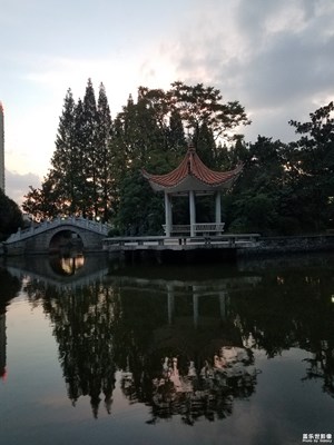 “亭亭”玉立水無(wú)聲