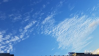 隨手拍