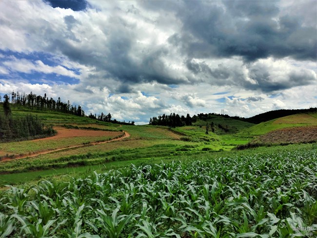 【Galaxy A80星粉體驗活動】4800萬的旅行