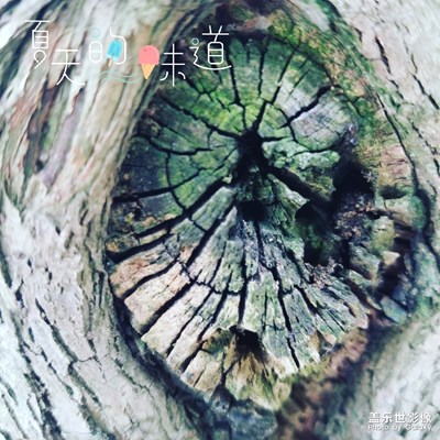 歲月的力量
