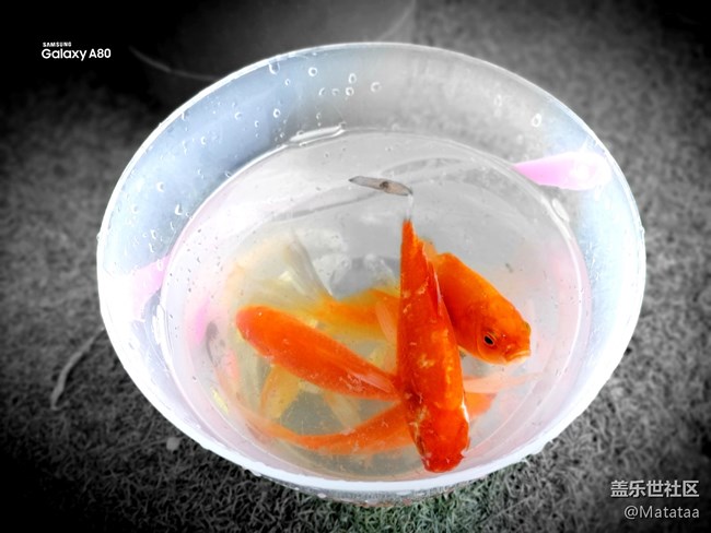 大暑日納涼兒秘籍 大暑日納涼兒秘籍