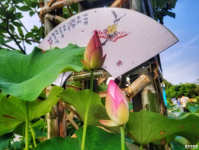 【每周精帖匯158-159】三星Galaxy A80的正式首銷