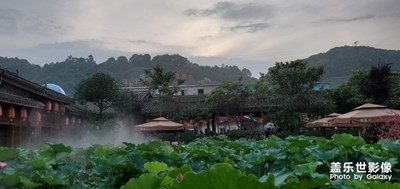 重慶鮮龍井一個(gè)字美