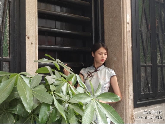 盛夏滿天星，星粉大集合廣州站回顧