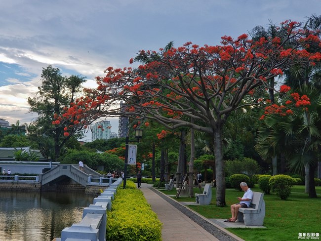 【每周精帖匯158-159】三星Galaxy A80的正式首銷