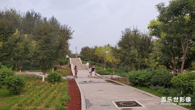 雨后隨拍