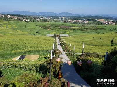 八卦園