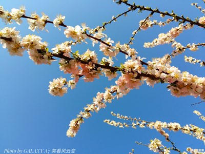 開獎(jiǎng)了【蓋樂世影像周賽第100期】——回首尋美之路