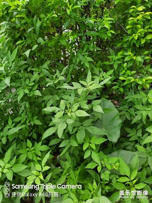 拍個(gè)照