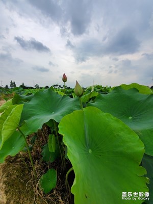 夏天快過去了